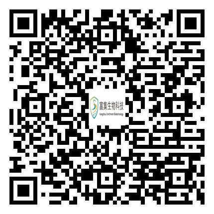 手机端浏览网站